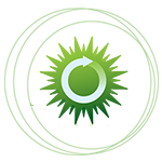 专业制作各种证件